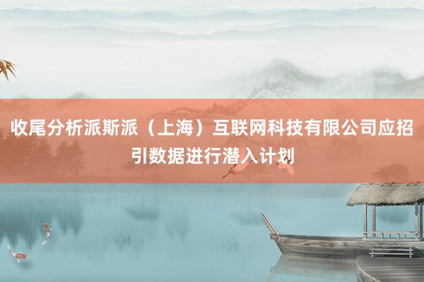 收尾分析派斯派（上海）互联网科技有限公司应招引数据进行潜入计划