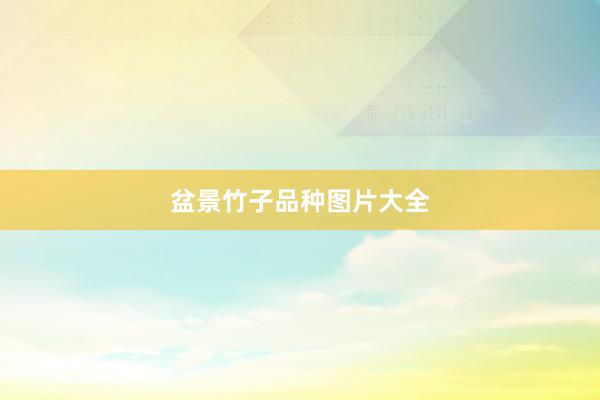 盆景竹子品种图片大全