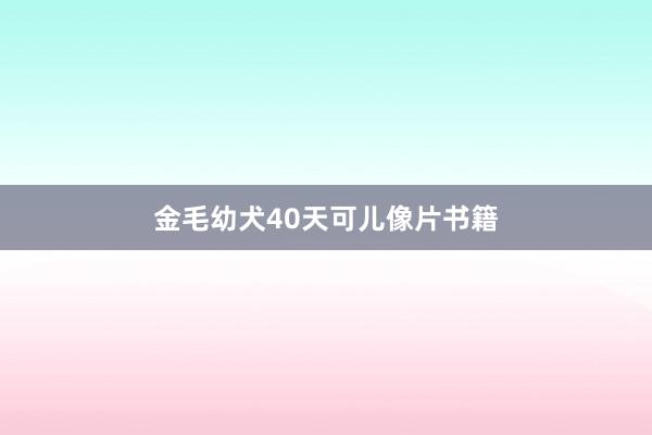 金毛幼犬40天可儿像片书籍